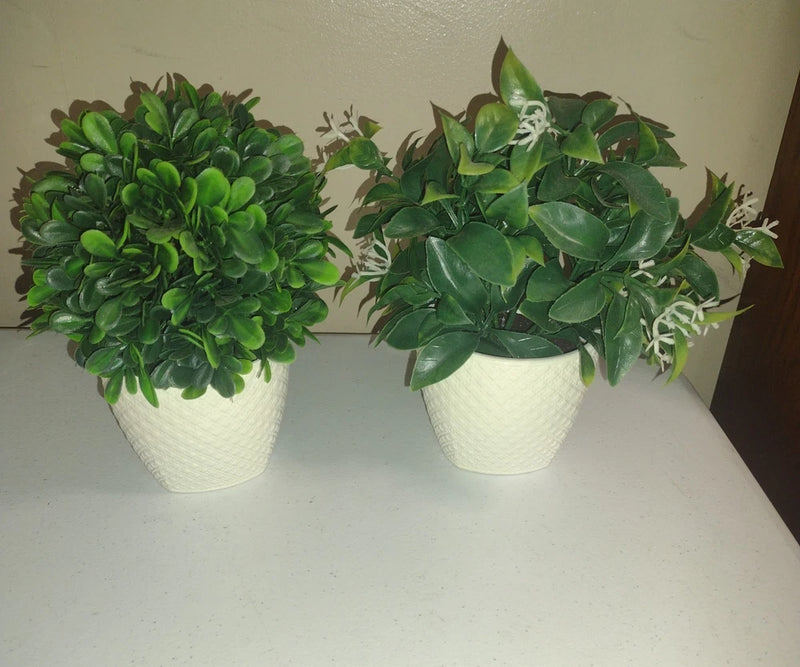 Set Of 2 Artificial plants In Ceramic Vases 8" Green Plant