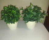 Set Of 2 Artificial plants In Ceramic Vases 8" Green Plant