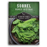 1 Pack Sorrel Seed for Planting - Packet with Instructions to Plant and Grow... Garden Plants
