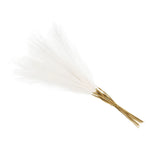 Faux Pampas Grass Fake Pampas Grass Decor, 21"/55cm / White / 20 Pcs Pampas Grass