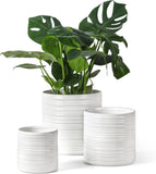 White Ceramic Planters Set of 3 with Drainage, 6/8/10 Inch for Home Garden Garden Plants