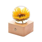 MISS LI GARDEN Forever Flowers 3D Crystal Ball with LED Lights,Best Gifts for Sunflower