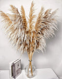 40" inch 10 Stems Pampas Grass Decor Tall, Pampas Grass Bouquet, Natural Drie... Pampas Grass