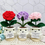 Crochet Rose Carnation Set, Handmade Flower Desk Decor, Thank You Gift Carnation