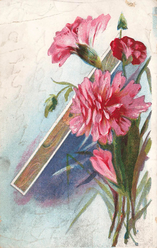 PINK CARNATION FLOWER VINTAGE GREETING POSTCARD 1910 Carnation