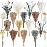 500PCSried Pampas Grass Bouquet Ð Bohoried Flowers for Vase, White & Brown D Pampas Grass