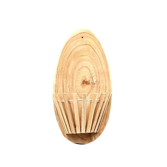 7" halfmoon hanging wood orchid basket Orchids