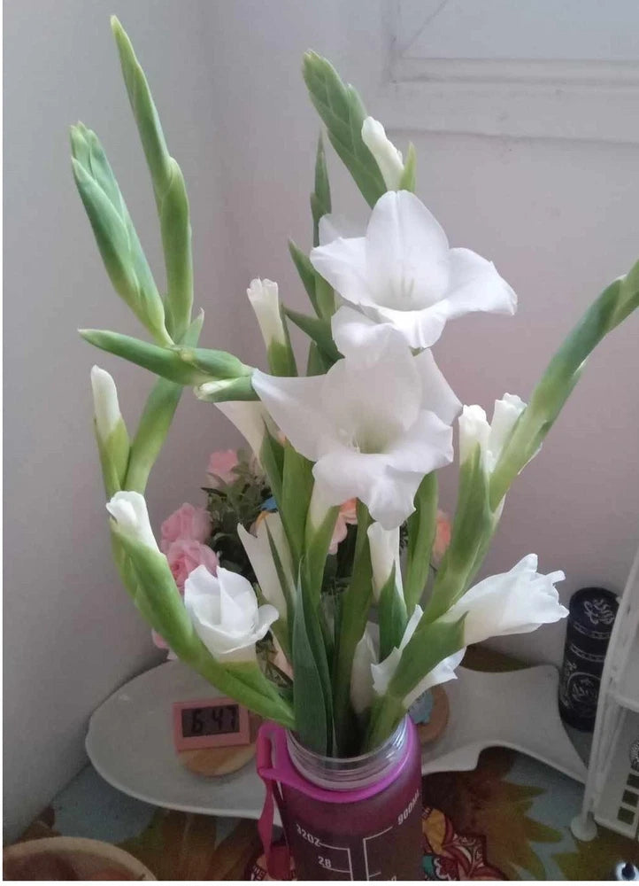 BOUQUET FLOWERS image virtual digital post card picture #E019T1A Elena S Bouquet
