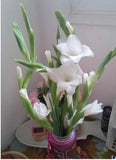 BOUQUET FLOWERS image virtual digital post card picture #E019T1A Elena S Bouquet