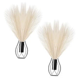 Otoolling 2 Pieces Hanging Plant Wall Decor with Artificial Pampas Black, Beige Pampas Grass