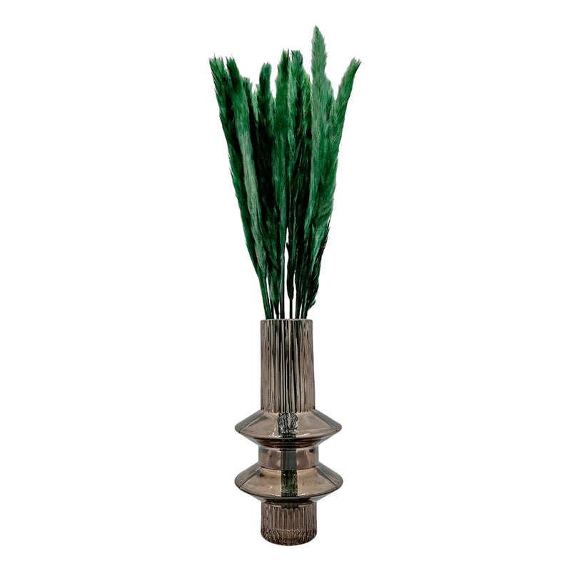 Bergamo Art Bundle of 4 Preserved Flowers Small Pampass Grass 20" long in Green Pampas Grass