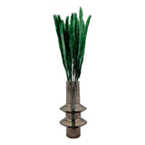Bergamo Art Bundle of 4 Preserved Flowers Small Pampass Grass 20" long in Green Pampas Grass
