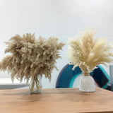 25 Stems Home Decor - Natural Dried Pampas Grass, Brown Pompas Grass, Dry Sma... Pampas Grass