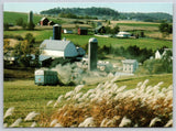 Great River Road Mississippi Pampas Grass Iowa Farm Scene Vintage Postcard Pampas Grass