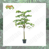 Artificial Tree 5.2FT Tall Faux Plant Artificial Tree in Potted for Home Decor Green Plant