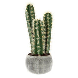 Pure Garden 22in Artificial Potted Cactus Faux Succulent Gray Clay Pot 50-LG1238 Green Plant