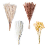 75PCS Natural Dried Pampas Grass Decor - 17" Fluffy Pampas Grass Bouquet - Bo... Pampas Grass