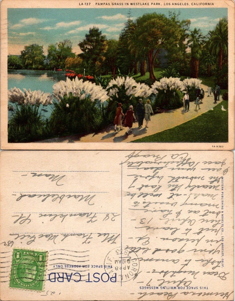 Pampas Grass Westlake Park Los Angeles Postcard LA-137 Vintage Posted 1c Stamp Pampas Grass