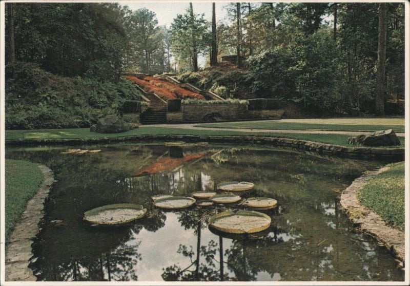 Many,LA Hodges Gardens Water Lilies & Terraced Flower Beds,Louisiana MCG Vintage Lily