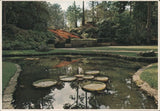 Many,LA Hodges Gardens Water Lilies & Terraced Flower Beds,Louisiana MCG Vintage Lily
