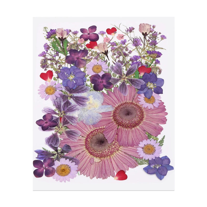 50 Pcs Dried Pressed Flower Leaves Bulk for Resin, Purple Mist Dried Flower