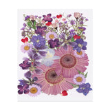 50 Pcs Dried Pressed Flower Leaves Bulk for Resin, Purple Mist Dried Flower