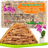 3 Oz Sphagnum Moss for Orchids -  Sphagnum Peat Moss for  Dried Long Fiber Orchi Orchids