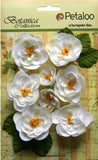 Ranunculus WHITE - 8 Fabric Flowers + 6 Leaves 33-48mmAcross Botanica Pet L2b Ranunculus