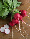 700+ CHERRY BELLE RADISH SEEDS FRESH FOR GARDENS Garden Plants