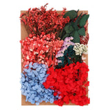 Pressed Flowers Bulk Dried Flowers Natural Pressed Flowers Leaves Multicolored Dried Flower