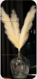 Faux Pampas Grass Decor Tall 46 inch 3 Stem Grass Tall for Floor Vase, Large... Pampas Grass