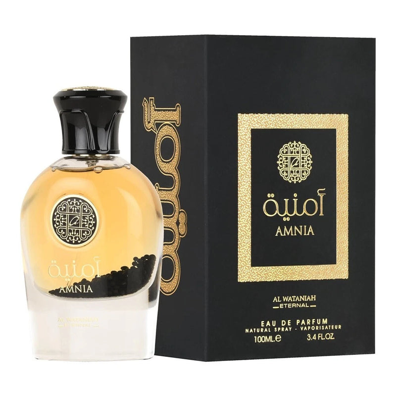 AL WATANIAH Amnia 100ml-3.4fl.oz, eau de parfum for men EDP