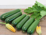$2.79 Garden Plants