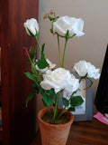 NEW Pottery Barn  Faux White Roses in Terra Cotta Pot!!  SOLD OUT!! Hydrangea