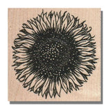 NEW Mounted Rubber Stamp, SUNFLOWER, Flower,Garden,Nature,Summer,Spring,Bloom,lg Sunflower