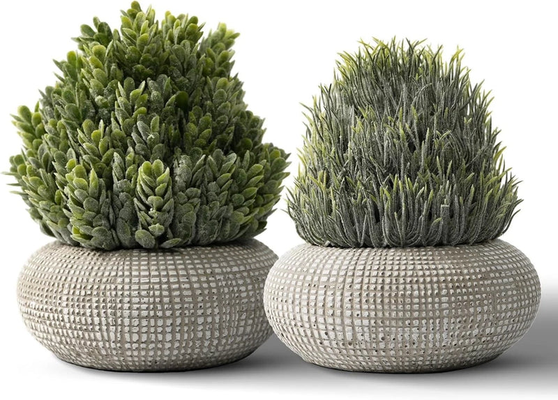 2 Pack Small Fake Plants in Cement Planter for Bathroom Decor, 6.1/5.7 Inch A... Green Plant