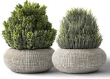 2 Pack Small Fake Plants in Cement Planter for Bathroom Decor, 6.1/5.7 Inch A... Green Plant
