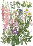 Large Dried Pressed Flowers for Art Crafts, Real Dry Natural Flower Leaf Fruit B Dried Flower