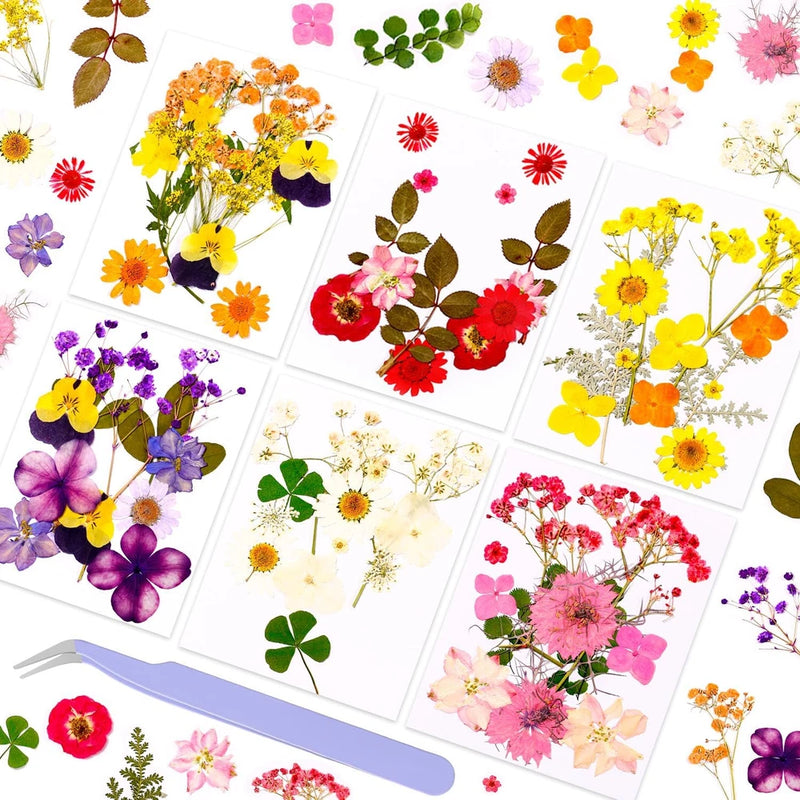 Assorted pressed dried flowers and leaves for resin crafting