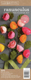 Crepe Paper Flower Kit  Ranunculus Ranunculus