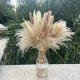 Dried Pampas Grass Decor Set - 15 White, 15 Brown, 50 Reed, 30 Bunny Tail Pampas Grass