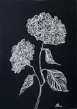 " Hydrangea " is the original Ink graphics of the Ukrainian artist Hydrangea
