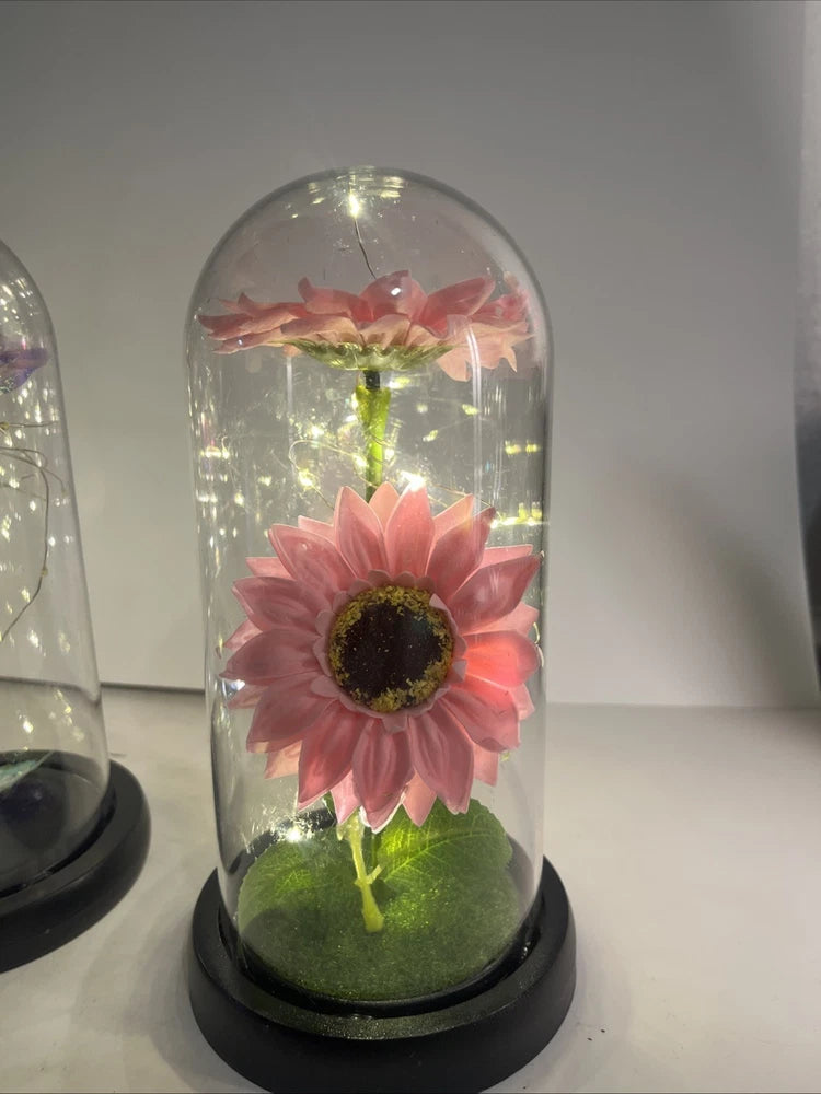 Pink artificial sunflower under clear glass dome with LED light, on black base