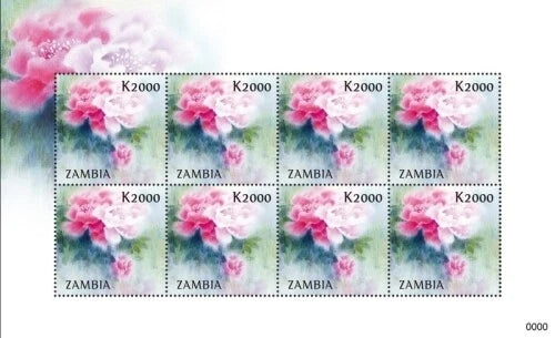Zambia 2009 - PEONY FLOWER (Luoyang 2009) - Sheet of 8 - Scott 1108 - MNH Peony