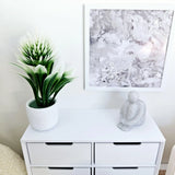 Dolls House Modern White Flower in a Coloured Plant Pot, Plant 1:12th Scale, Flowering Plants