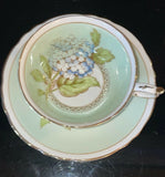 PARAGON DOUBLE WARRANT HYDRANGEA PATTERN TEACUP & SAUCER SET PALE GREEN RARE Hydrangea