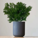 36CM Green Artificial Plant 6-Branch Parsley Grass Home Wedding Green Plant
