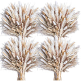 Beautiful 440PCS Pampas Grass - Low Maintenance Floral Decor for Home & Events Pampas Grass