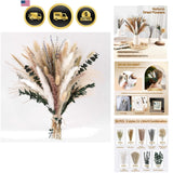 Versatile Dried Flower Collection - 92 Pcs with Pampas, Eucalyptus & Lavender Pampas Grass