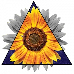 T-Shirt S to 2XL 3XL - triangle SUNFLOWER flowers garden spring fun adult Sunflower
